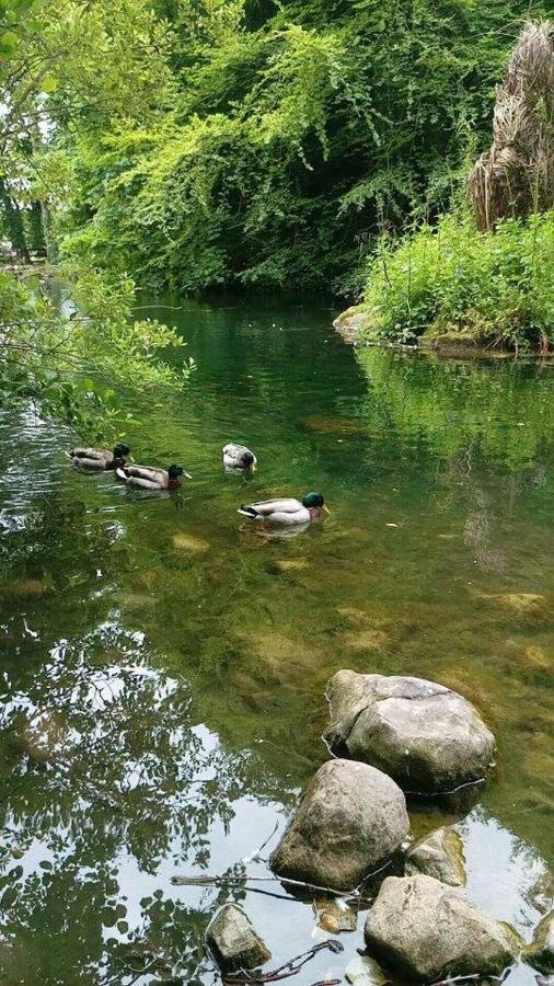 Thistledown - Ballina - Crossmolina - County Mayo - Sleeps 8 - Sister Property To Inglewood 外观 照片